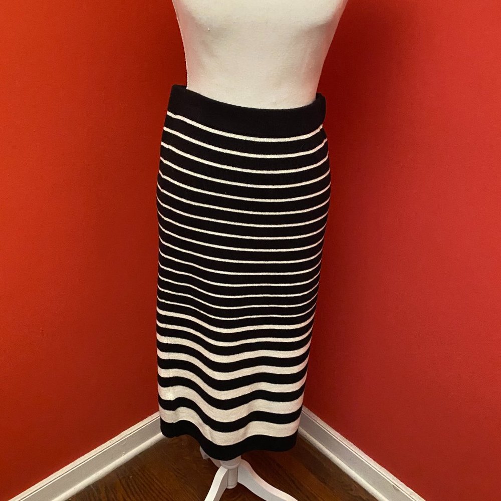 ANN TAYLOR sweater midi skirt